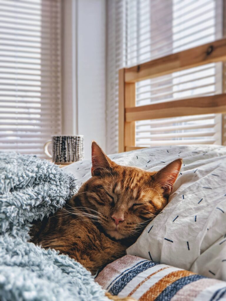 Kaffee gegen Kater – Allheilmittel oder Wunschdenken?